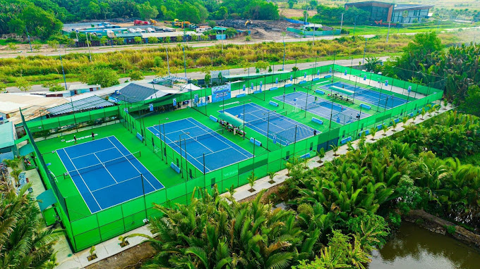 sân pickleball