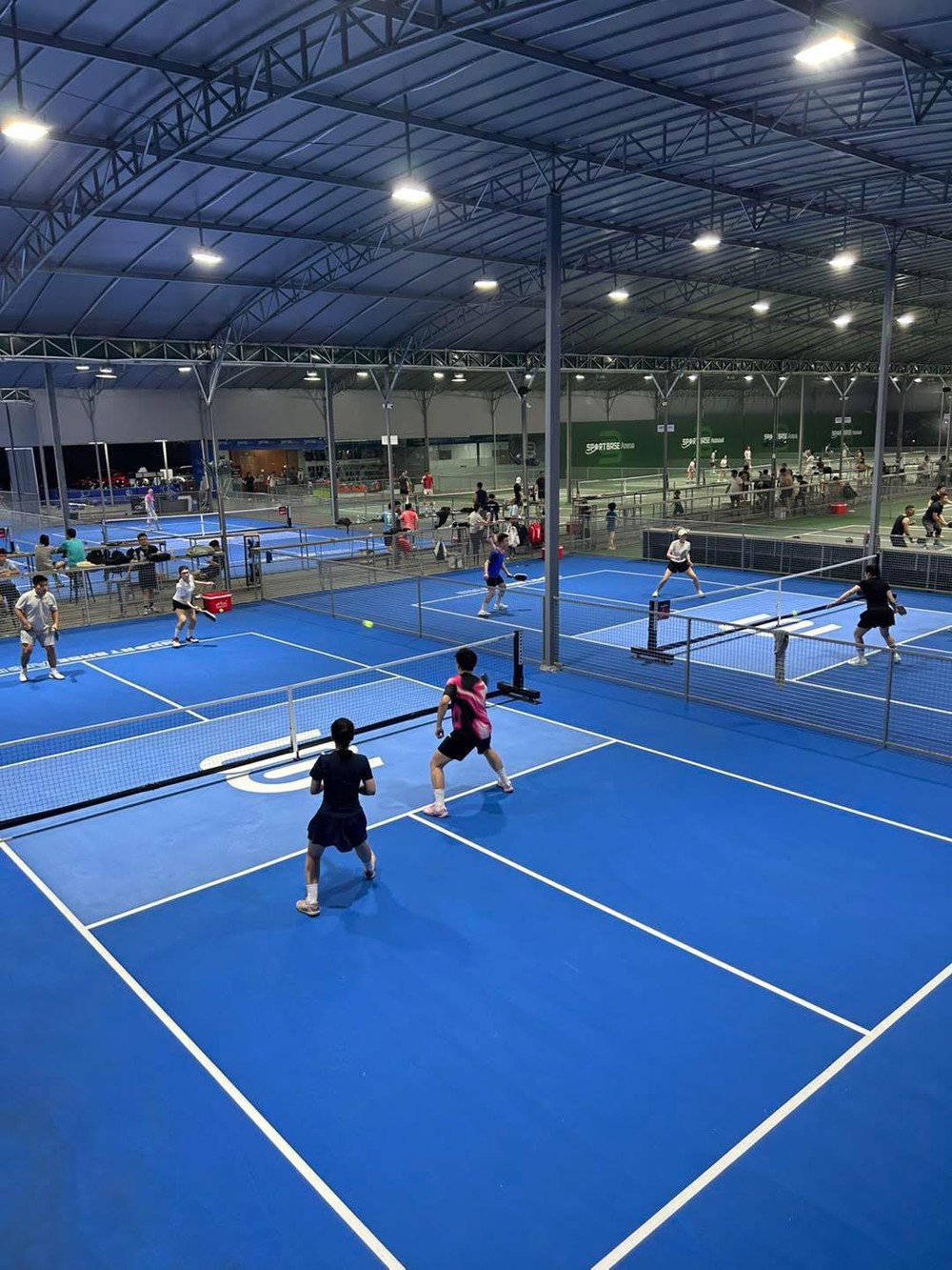 sân pickleball