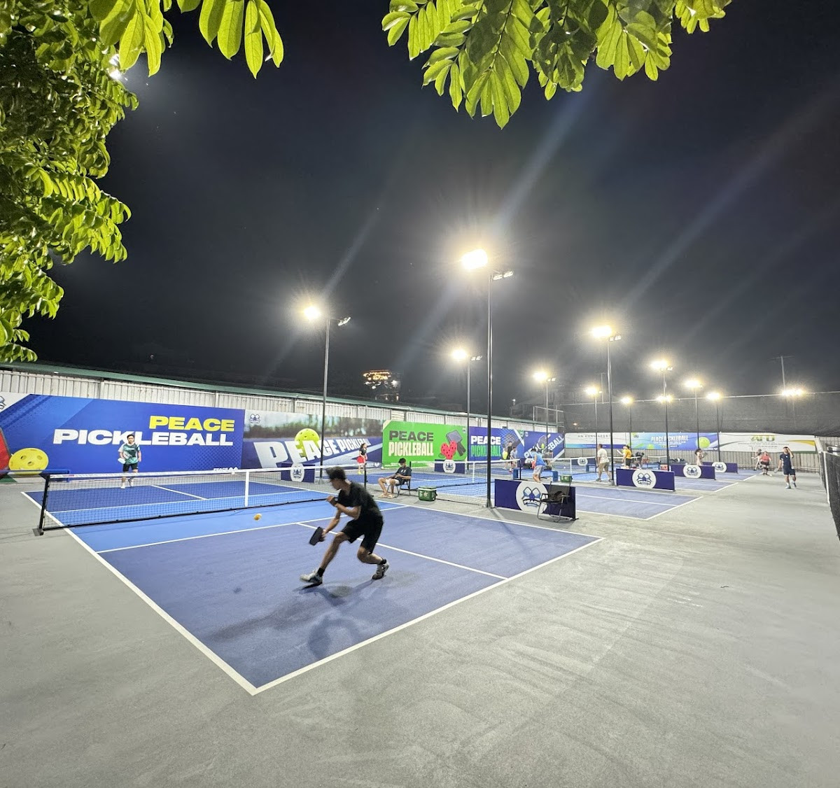 Peace Pickleball - Tổng Cục 5, Thanh Trì