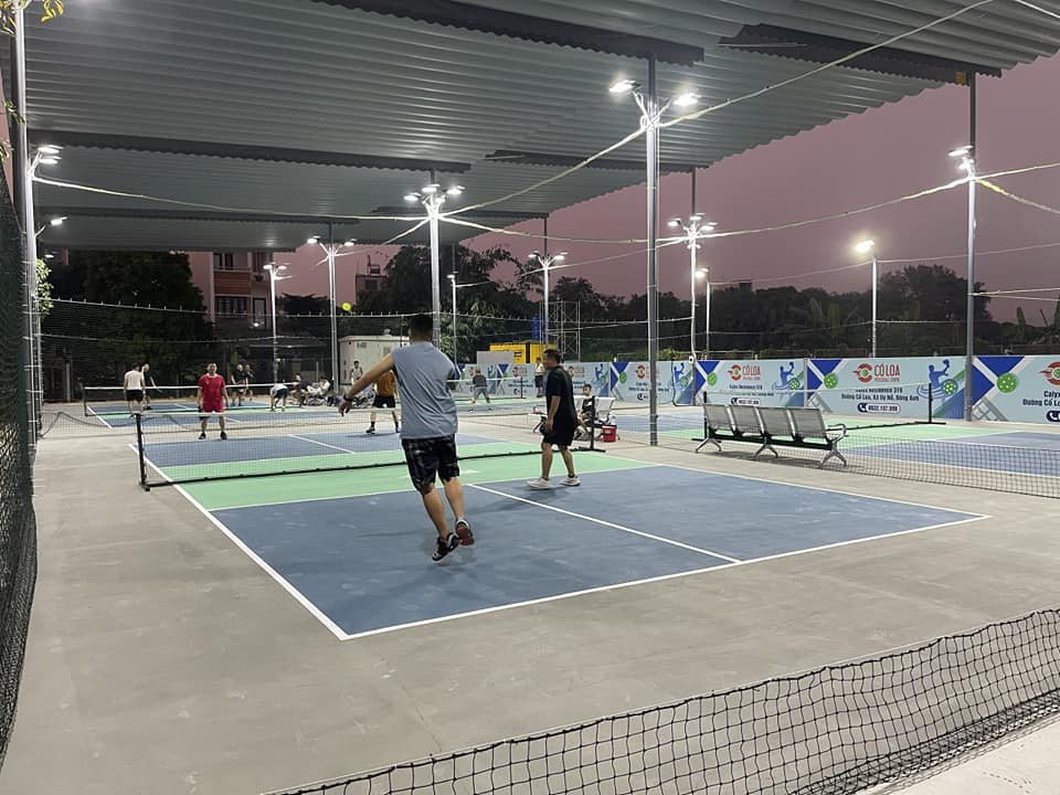 Cổ Loa Pickleball - Đông Anh