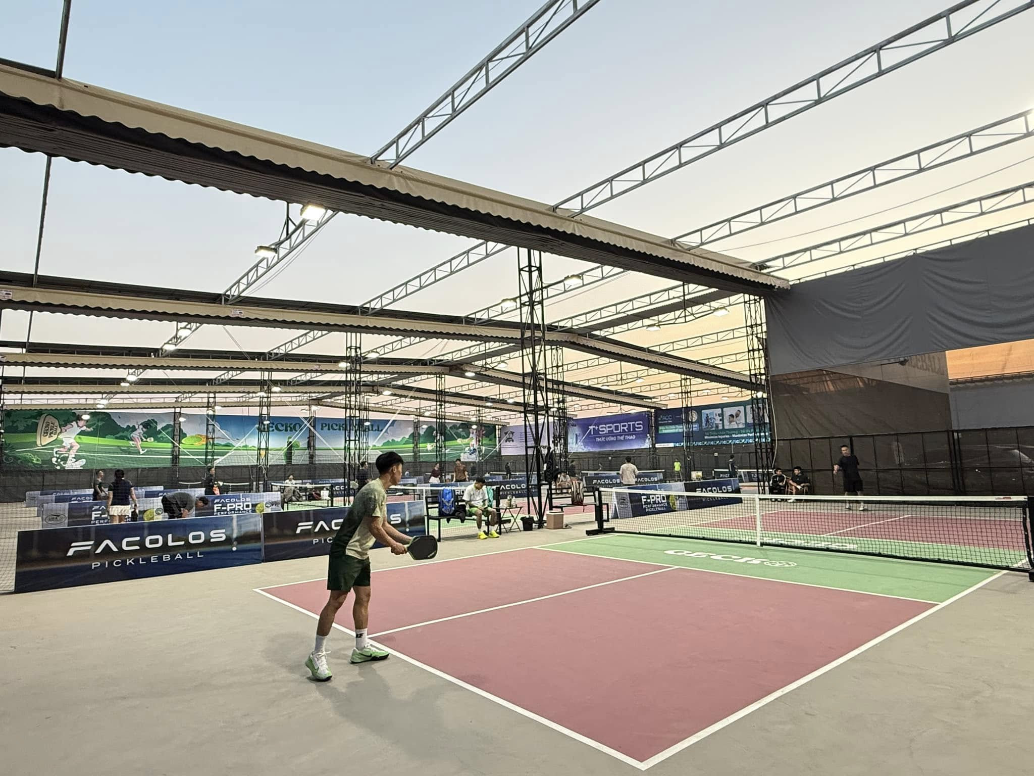 Gecko Pickleball